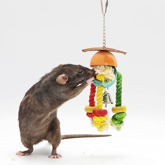 Crazy Legs- Natural Wood & Rope Dangling Interactive Treat Foraging Cage Accessory Toy - Sugar Gliders, Ferrets, Parrots, Squirrels, Marmosets, Degus, Hamsters, Rats & Other Small Pets… (1 Pack)