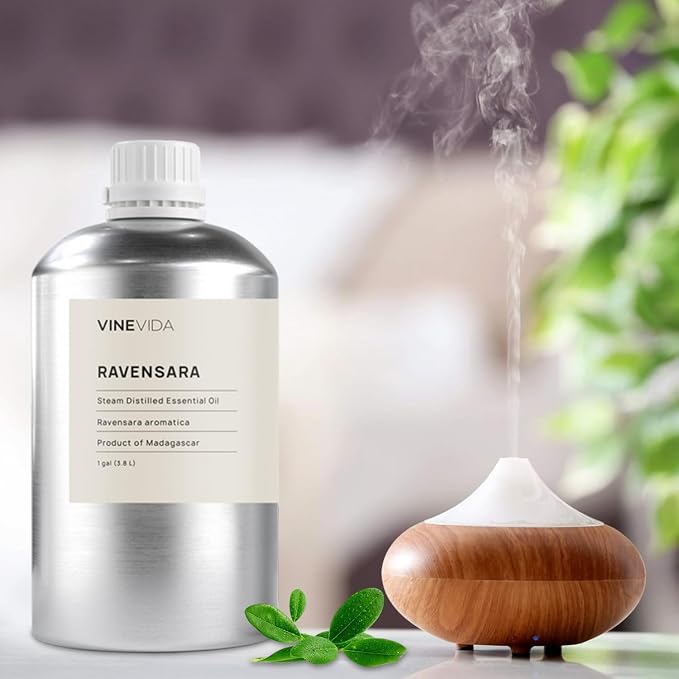 VINEVIDA Ravensara Essential Oil-Gallon Oil Undiluted-Bulk Gallon for Soap Making