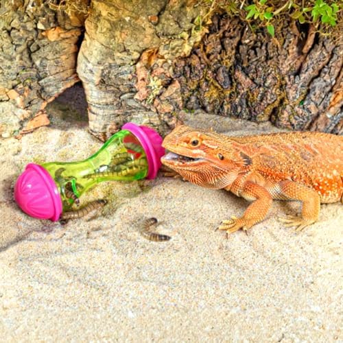 2 Pcs Bearded Dragon Toy Bearded Dragon Toys Hedgehog Toys