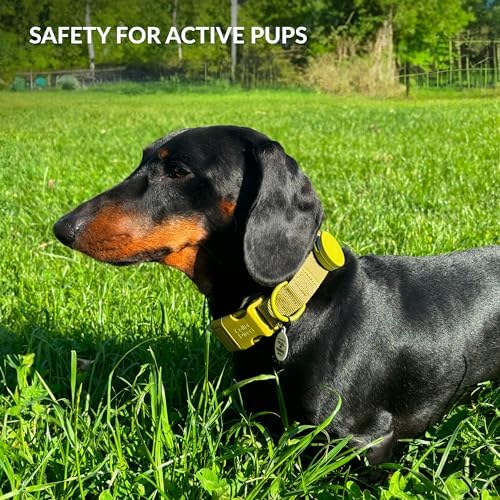 CollarDirect Airtag Nylon Dog Collar Silicon Holder Designed for Apple Airtag with QR Tags Personalized Dogs Puppies 5 Colors Black Pink Violet Green Orange (Pink, S)