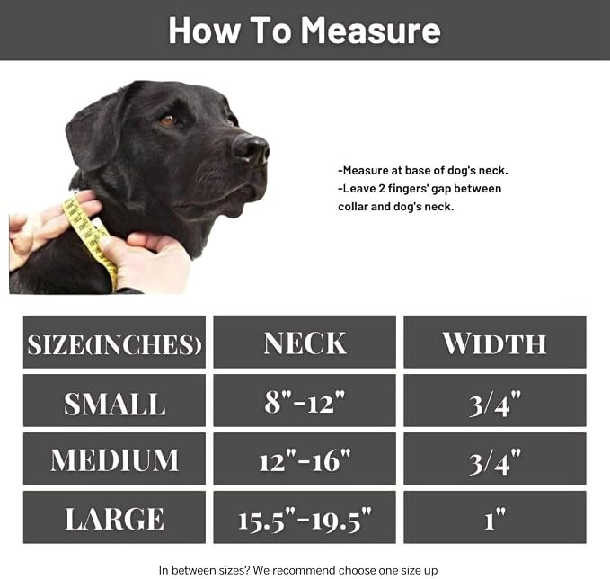 Waterproof Dog Collar, Soft Comfortable Pet Collars, Adjustable Odor Proof Heavy Duty Dog Collars Easy to Clean for Large, Medium Small Dogs by Bee N Buu (Black, Medium (length12-16, Width 3/4"))