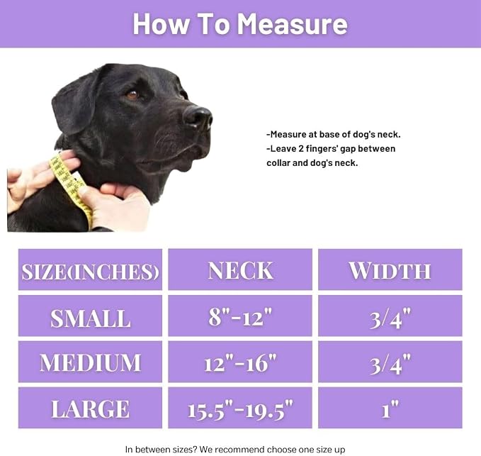 Waterproof Dog Collar, Soft Comfortable Pet Collars, Adjustable Odor Proof Heavy Duty Dog Collars Easy to Clean for Large, Medium Small Dogs by Bee N Buu (Purple, Large (length15.5-19.5", Width 1"))