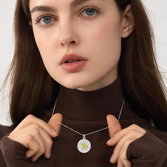 Aromatherapy Essential Oil Diffuser Necklace Diffuser Stainless Steel Oil Pendant Aromatherapy Bottle Locket Necklaces Gift for Woman Men