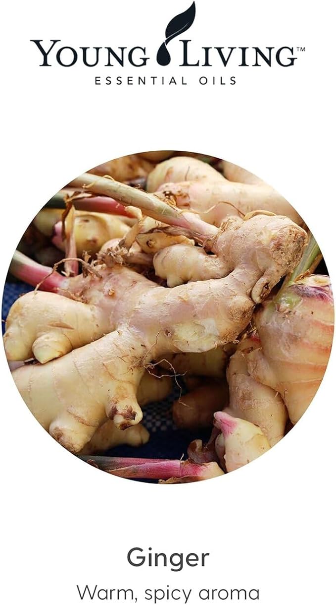 Young Living Ginger Vitality Essential Oil | 5 ml | Premium Aromatherapy & Culinary Oil | Natural Flavor Enhancer for Cooking, Relaxation & Wellness | Supports Digestion & Healthy Lifestyle