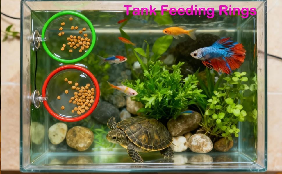 11pcs Betta Fish Enrichment Toys Fish Hideout Betta Hoop Exercise Rings Floating Mirror Balls Tank Feeding Rings Training Ring Feeder Hammock Acrylic Tube Breeding Aquarium Decor Accessory