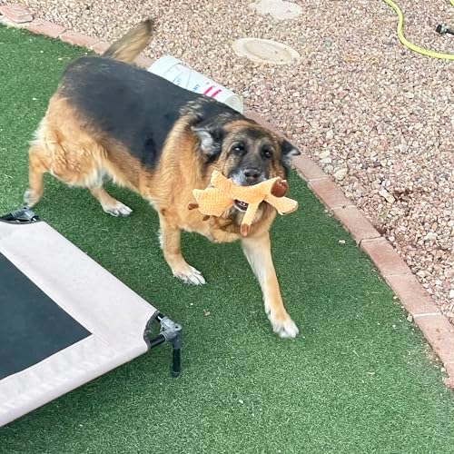 Jalousie Multipack Dog Squeaky Toys Strong Almost Indestructible, with Added Liner for Longer Play Dog Chew Toys (Medium to Large Breeds, 5 Pack Checks for Aggressive Chewers)