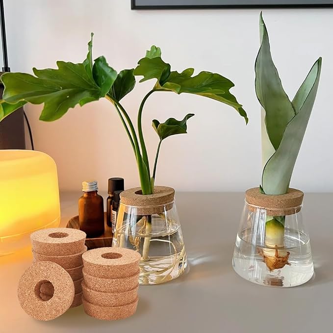 OLYCRAFT 10Pcs Cork Lids for Glass Planter 2.9-3.1 Inch Plant Corks | 1.2 Inch Hole Cork Stoppers for Glass Planter, Vase Lids Cork Replacement for Hydroponics Plant Growing Vases - 0.8 In Thick