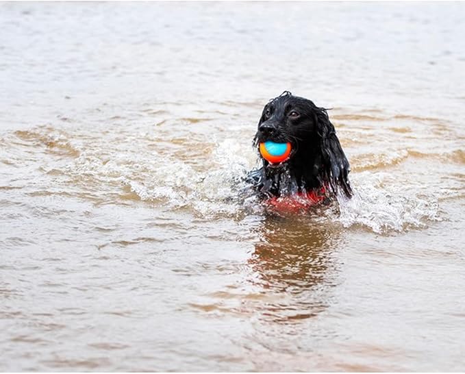 ChuckIt! Amphibious Fetch Balls, Set of 3, Medium