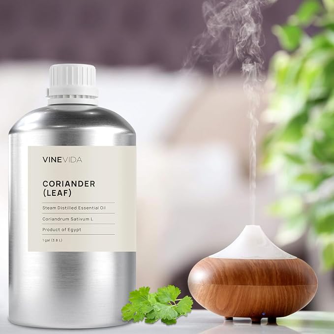 VINEVIDA Coriander (Leaf) Essential Oil - Gallon Coriander (Leaf) Oil Undiluted - Bulk Gallon Essential Oil for Soap Making
