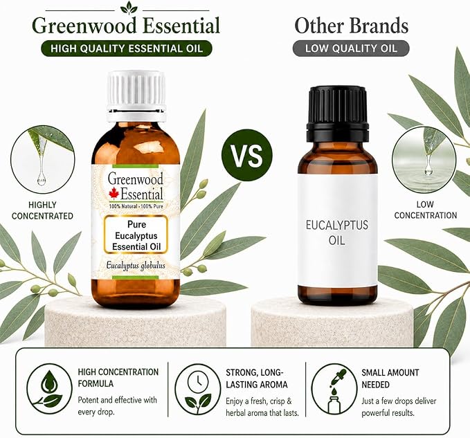 Greenwood Essential Eucalyptus Essential Oil (Eucalyptus globulus) Pure | Non-Sticky | Non-Greasy | Lightweight | Men & Women | All Skin Types | Steam Distilled 30ml (1 oz)