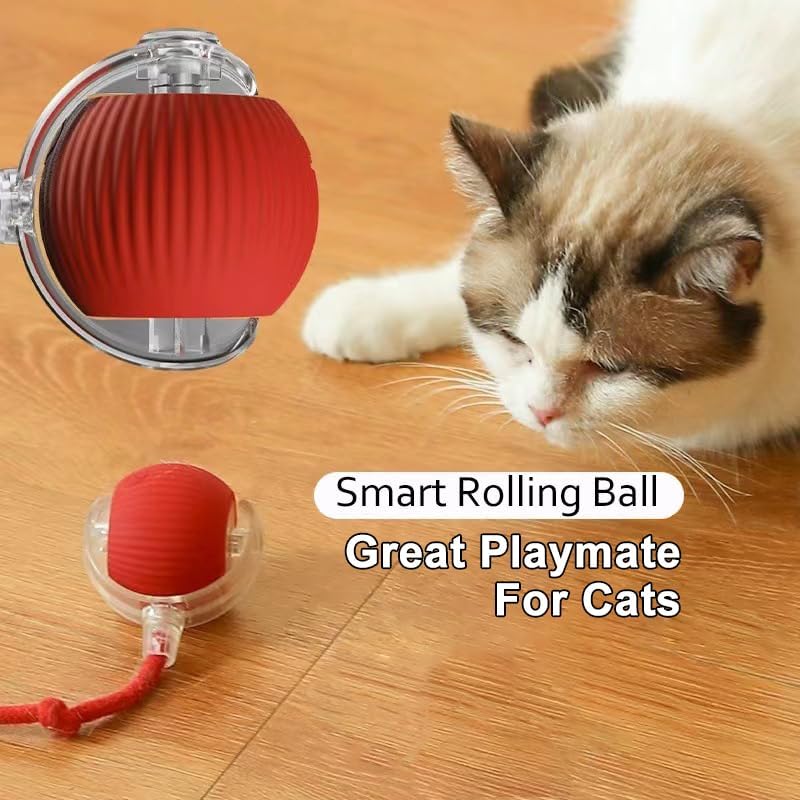 2025 Interactive Cat Toys for Indoor Cats - Toys Ball with Tail, Realistic Bird Chirping, Smart Obstacle Avoidance and Auto Restart,Cat Puzzle Toys for Bored Indoor Adult Cats and Dog (Gray)