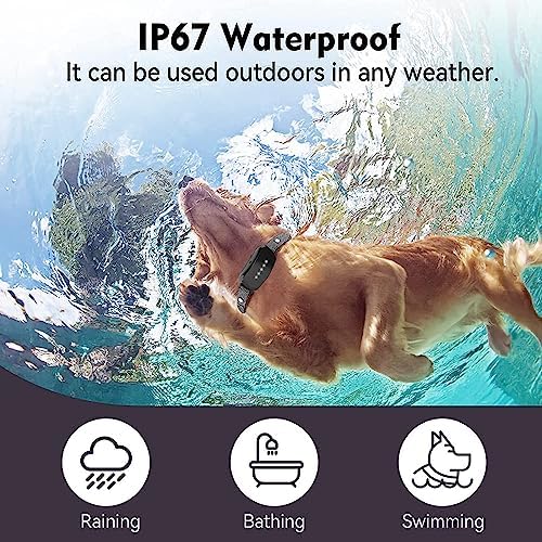 Bark Collar, Dog Bark Collar for Small, Medium and Large Dogs, with 5 Adjustable Sensitivity Beeps Vibration Shock, Waterproof Rechargeable Smart Bark Collar (Green)