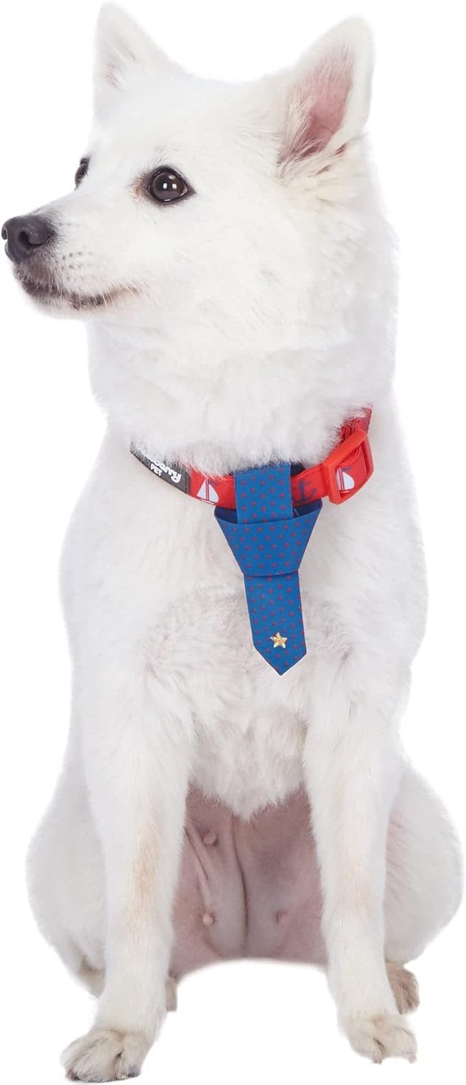 Blueberry Pet 4 Patterns Cardinal Red Nautical Sailboat Designer Adjustable Tie Dog Collar, Medium, Neck 14.5"-20"