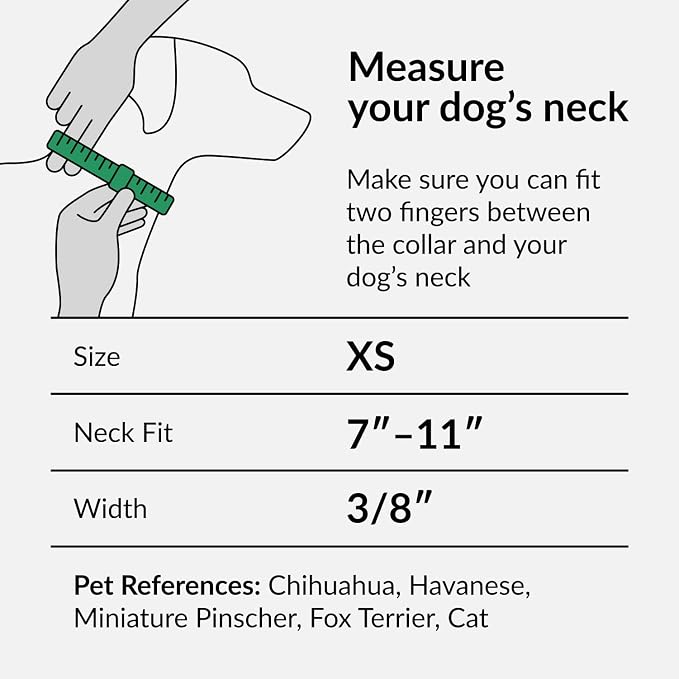 CollarDirect Nylon Dog Collar with Buckle Tribal Pattern Puppy Adjustable Collars for Dogs Small Medium Large (Pattern 3, Neck Fit 7"-11" with Metal Buckle