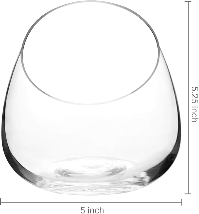 MyGift Clear Glass Air Plant Terrarium Jars, Mini Vase Set of 2 | Versatile glass jars display air plants, succulents, candles, or treats as elegant tabletop décor for any space