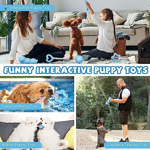 ABRRLO 6 Pack Puppy Teething Toys Cute Blue Puppy Chew Toys for Teething Small Breed Dog Chew Toy Interactive Pet Toy Set for Puppies to Keep Them Busy Soft Durable Small Breed Doggy Chewing Ball
