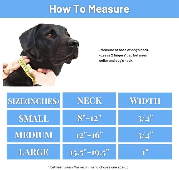 Waterproof Dog Collar, Soft Comfortable Pet Collars, Adjustable Odor Proof Heavy Duty Dog Collars Easy to Clean for Large, Medium Small Dogs Bee N Buu (Cyan Blue, Medium (length12-16, Width 3/4"))