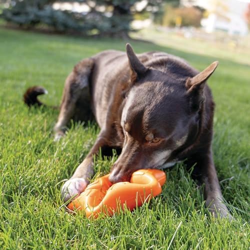 KONG Squeakz Dog Toy – Durable Rubber Fetch & Chew Toy with Squeakers, Interactive Enrichment Toy for Active Dogs (Star, Large)