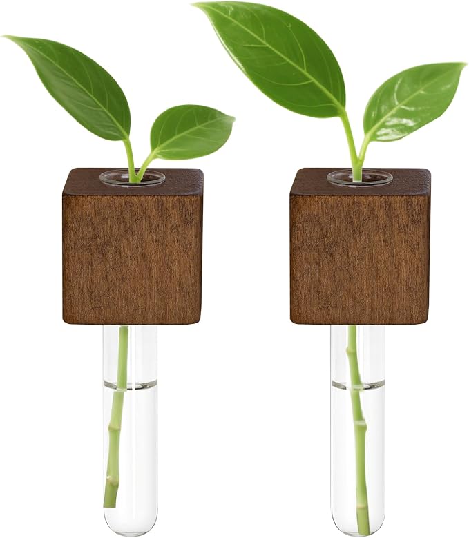 Magnetic Test Tube Flower Vases for Refrigerator, Set of 2 | 2-Pack wooden magnetic vases in a dark wood finish for fresh cuttings and plant propagation. Plant not included.