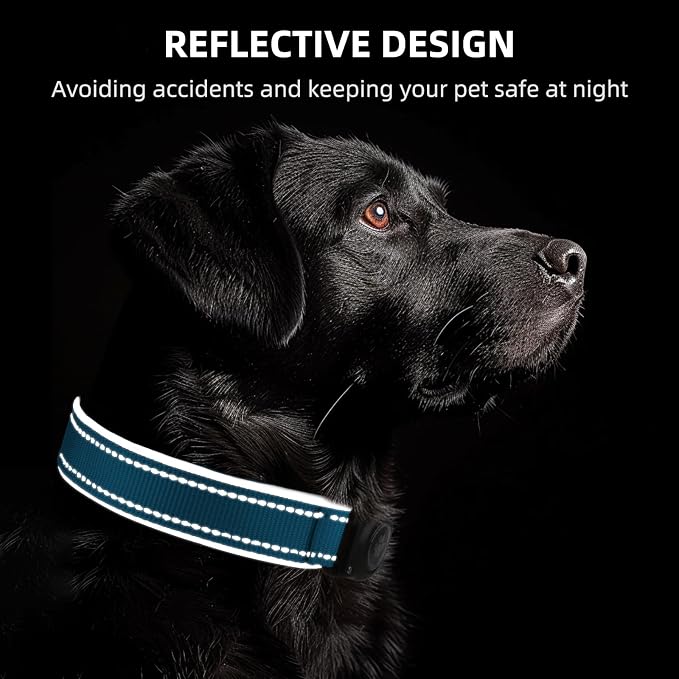 Upgrade Dog Collar with AirTag Holder, IP68 Waterproof, Ocean Blue, S | Built-in Water Resistant AirTag holder, 1000D Nylon, Reflective Stitching for Night Visibility, Soft padding for Comfort