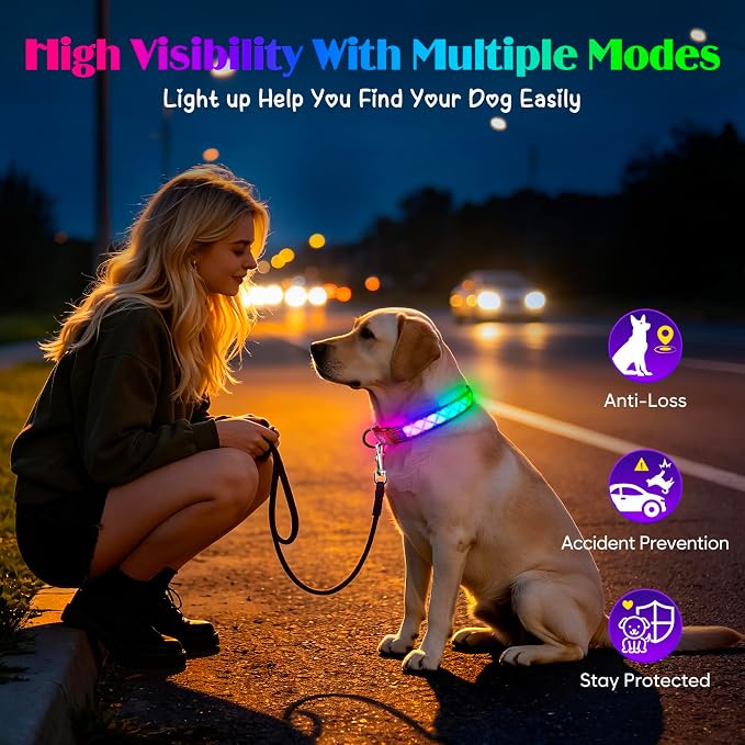 Light up Dog Collar Rechargable - Multicolor LED Dog Collar, 7 Colors Safety Dog Lights with Battery Indicator, Waterproof and Adjustable Argyle Print Glow Collar for Dogs (Festive Plaid, L)