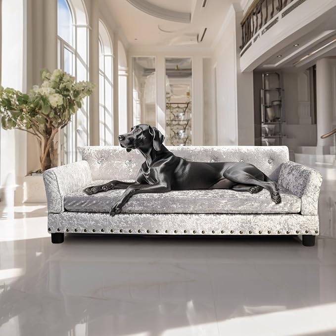 XL Dog Sofa Bed: Luxury Dutch Velvet Jumbo Pet Couch Furniture | Luxury Modern Indoor Dog Furniture, Elevated Wooden Frame Doggie Lounge Bed up to 132lbs, Replaceable Cover, Easy Clean