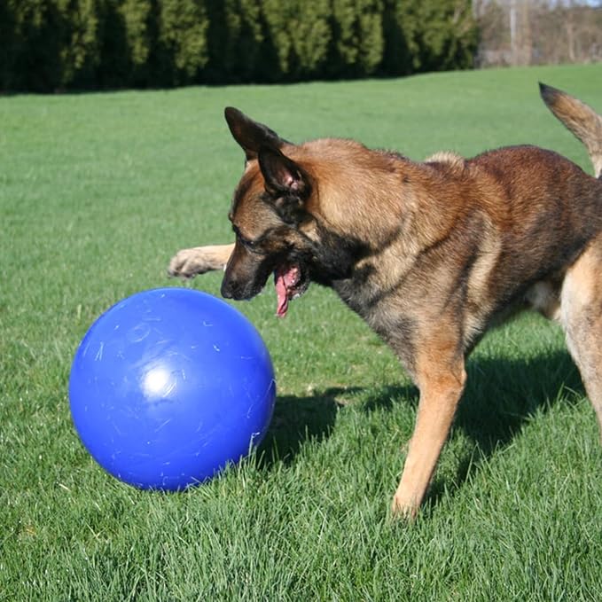 Jolly Pets Push-n-Play Ball Dog Toy, 6 Inches/Medium, Blue (306)