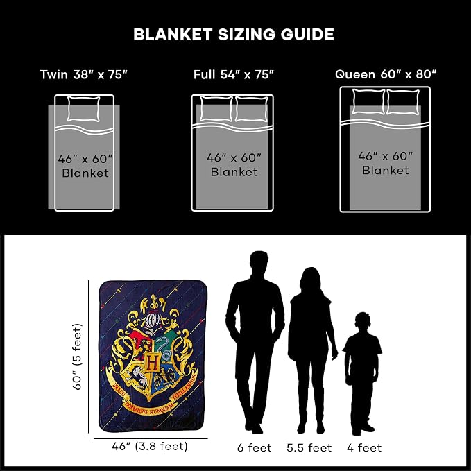 Northwest Harry Potter Micro Raschel Throw Blanket, 46" x 60", House Pinstripes