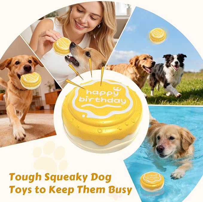 Dog Birthday Cake Toy Indestructible Squeaky Toys for Aggressive Chewers Outdoor Swimming Interactive Tough Chew Toys for Medium and Large Dogs