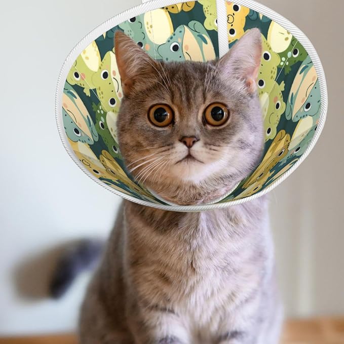 Cute Cartoon Smart Frog for Adjustable Cat Cone Collar