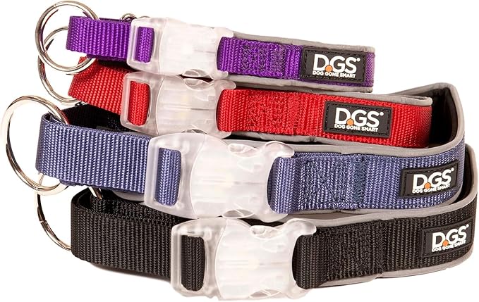 Dog Gone Smart Pet Products Super Bright LED All Day & Night Wear Safety Comet Collar Dogs, Adjustable Breathable Strong Nylon, Puppies, Large, Medium, Small