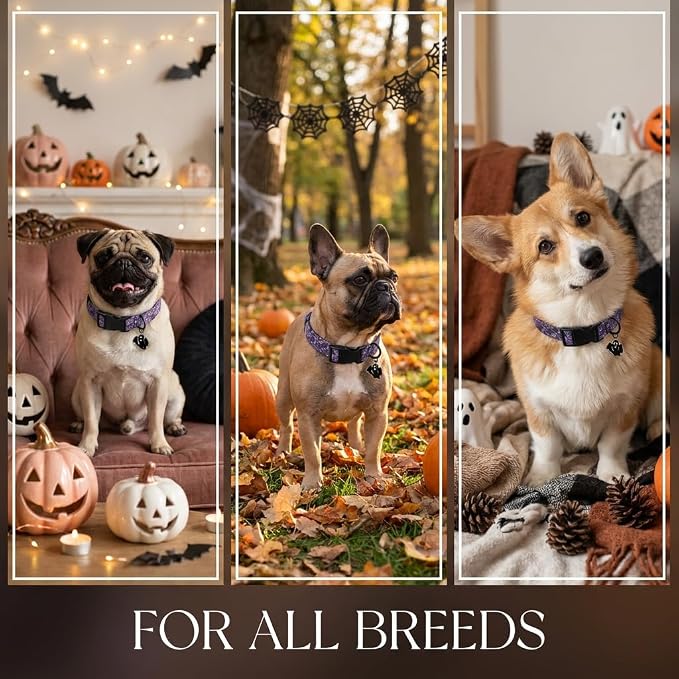 Halloween Dog Collar, Purple Puppy Collar for Small Dogs, S