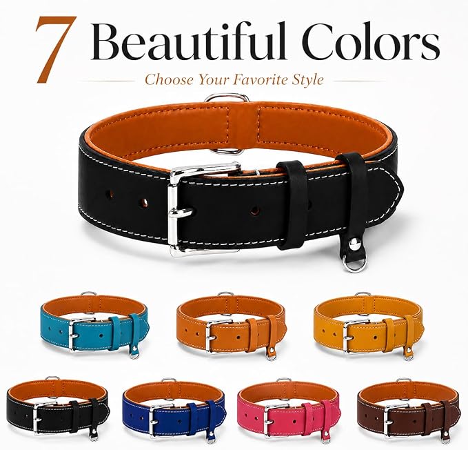 Genuine Leather Dog Collar, Soft Padded Leather Dog Collars with Airtag Holder Case for Small Medium Large X-Large Dogs,Comfort Heavy Duty Pet Collar with Durable Metal Buckle & D-Ring-Black/M