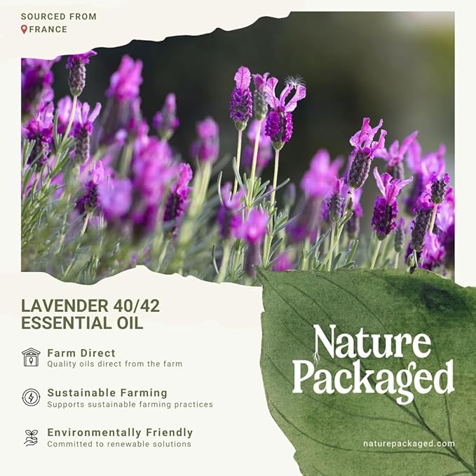 Lavender 40/42 Essential Oil Direct from France - Essential Oil for Candle Making and Soaps - Pure Lavender 40/42 Oil for Aromatherapy, Skincare, Haircare, Perfumes (2lbs)