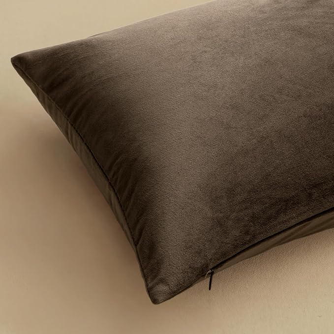MIULEE Velvet Throw Pillow Covers 20x20 Inch Pack of 2 Coffee | Soft Solid Decorative Pillow Covers, Modern Luxury Home Decor, for Couch Chair Sofa Bedroom Livingroom