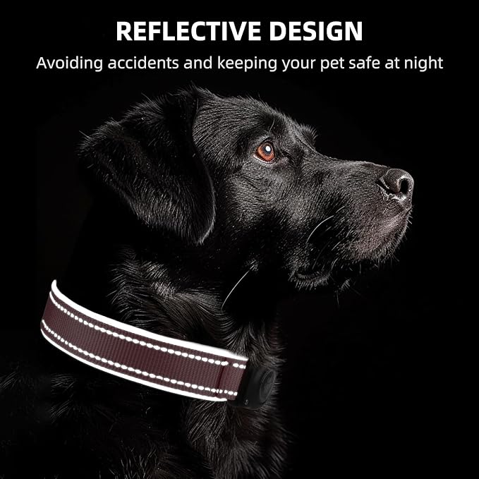 Upgrade Dog Collar with AirTag Holder, IP68 Waterproof, Pastel Pink, S | Built-in Water Resistant AirTag holder, 1000D Nylon, Reflective Stitching for Night Visibility, Soft padding for Comfort