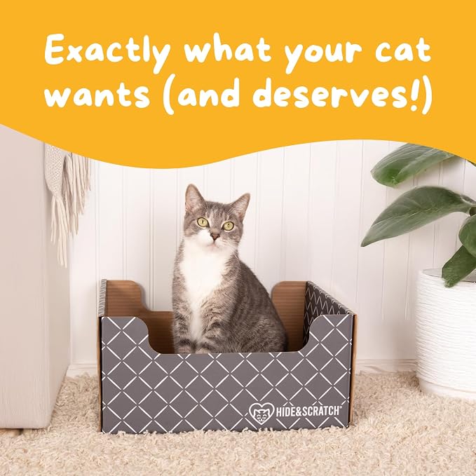 Hide & Scratch Cardboard Cat Scratcher Box & Bed with 3 Refill Pads Grey