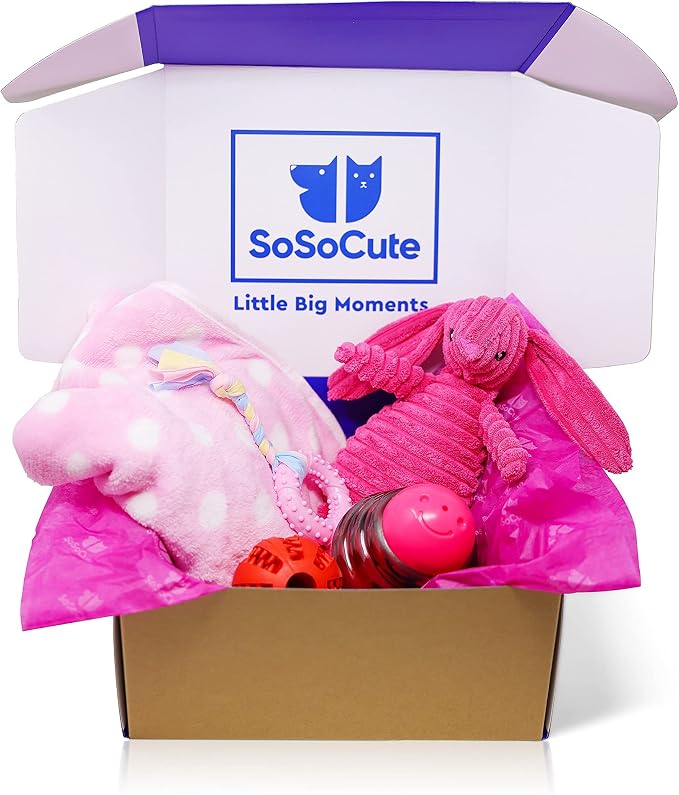 Puppy Starter Kit β 5pc Dog Toy Gift Set for Small Dogs β Blanket, Squeaky Plush, Teething Ring, Treat Ball β New Puppy Essentials Gift Box (Pink)