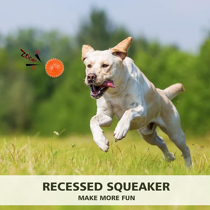 petizer 3-Pack 3.5” Squeaky Dog Toy Balls, Floating Dogs Pool Balls, Dog Spiky Balls, Interactive Fetch Toys for Puppy, Dog Chew Toys - Safe, BPA Free