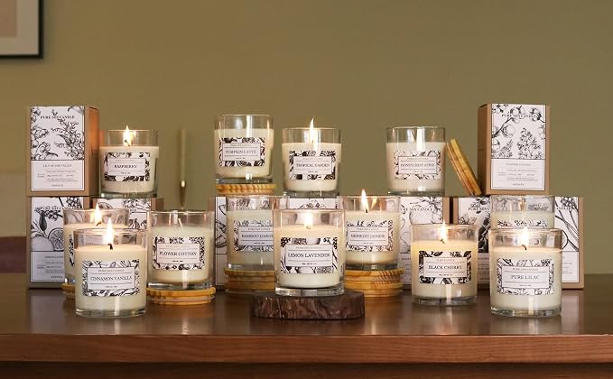Aronica Pet Safe Candles Apple Scented, Long Lasting Scented Candles, Honeycrisp Apple Candle Clean Non Toxic, Fruity Candles Scented
