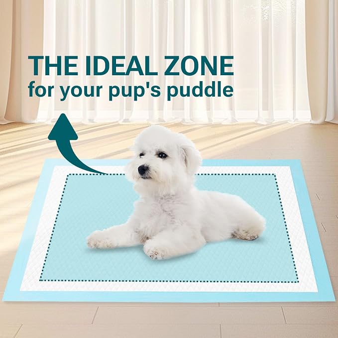 Clean Spaces Puppy Pads, Dog Pee Pads, Super Absorbency, 22"x 22",100Ct | Leakproof ,Quick Drying, Dog Pets Training Pads, Disposable Underpads Changing Pads for Baby, Puppy and Adults