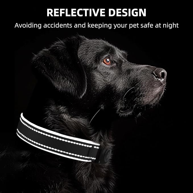 Upgrade Dog Collar with AirTag Holder, IP68 Waterproof, Ebony, M | Built-in Water Resistant AirTag holder, 1000D Nylon, Reflective Stitching for Night Visibility, Soft padding for Comfort