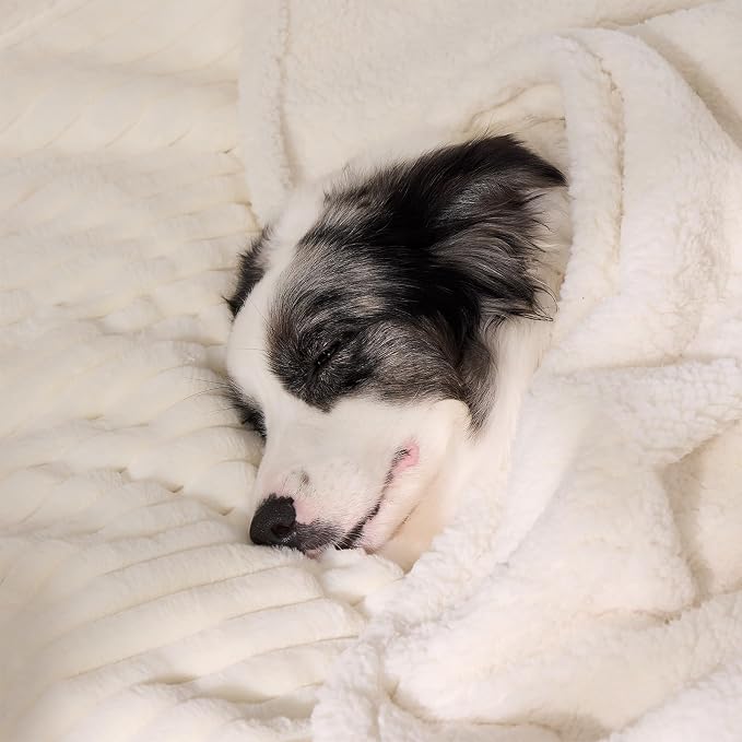 Waterproof Calming Dog Blanket for Large Dogs, Noiseless Soft Plush Pet Blanket for Bed, 500GSM Thick Faux Fur Pet Throw, Cozy Couch Furniture Protection Washable, Cream, 50x60IN