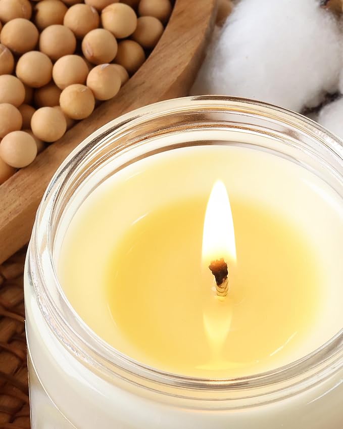AOOVOO Vanilla Cream Odor Eliminating Highly Fragranced Candle - Eliminates 95% of Pet, Smoke, Food, and Other Smells Quickly, Non Toxic Air Freshing Soy Candle, Up to 50 Hours Burn time