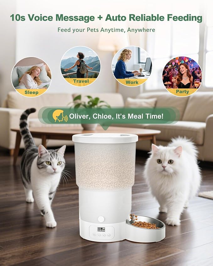 Gimars 5L/20 Cups Automatic Cat Feeder, Programmable 1-6 Meals Cat Food Dispenser with Stainless Steel Bowl, Easy Setup, Dual Power Supply,10s Meal Call Timed Pet Feeder for Cats and Small Dogs