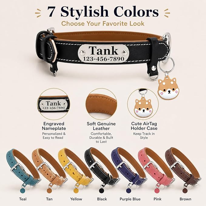 Personalized Genuine Leather Dog Collar with Name Phone Number-Black-M