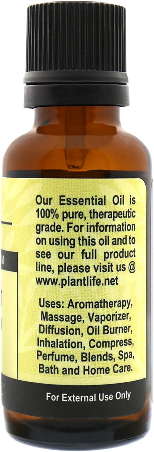Plantlife Bergamot Aromatherapy Essential Oil - Straight from The Plant 100% Pure Therapeutic Grade - No Additives or Fillers - 30 ml