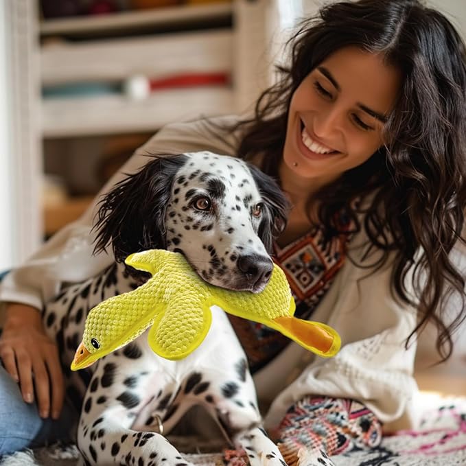 No Stuffing Dog Squeak Toys, Duck Chew Toys for Small to Large Puppies | Durable Plush Puppy Teething Toys, Interactive to Keep Pets Busy, Toss Fetch Tug Play, Best Birthday Gift