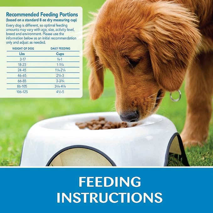 Wellness Simple Limited Ingredient Diet Adult Dry Dog Food, Wholesome Grain Kibble, Sensitive Stomach, Skin & Coat Support, Natural, Chicken Free, Lamb and Oatmeal Recipe, 26 lb Bag