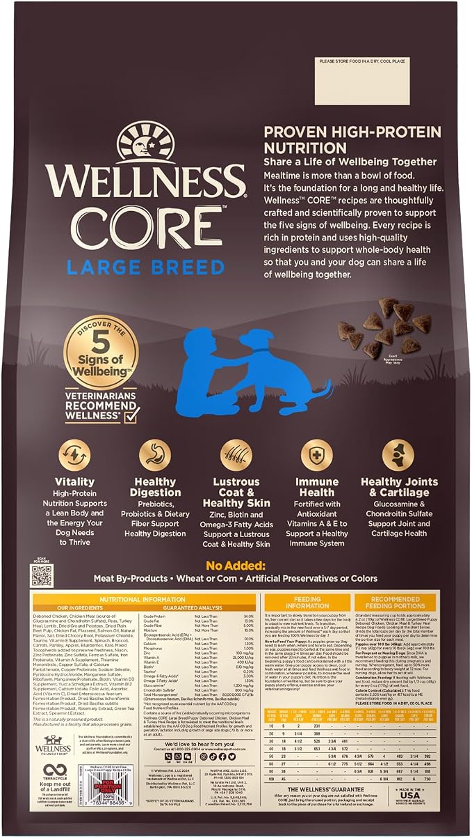 Wellness CORE Large Breed Puppy Dry Dog Food, Grain Free Kibble, Natural, High Protein, Chicken and Turkey Recipe, 24 lb Bag